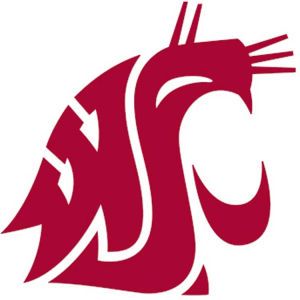 Washington State Cougars Wincraft Die Cut Color Decal 8in X 8in