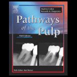 Pathways of the Pulp