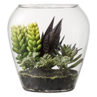 Threshold Faux Succulents in Glass Terrarium   Spiky Purple and Sedum 5.5