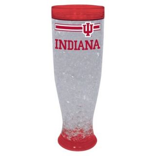 University of Indiana Hoosiers Ice Pilsner Glass