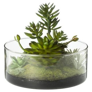 Threshold Faux Mixed Succulents in Glass Dish   6.25
