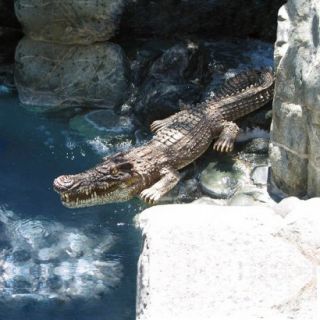 Poolmaster Crocodile Body Float   30