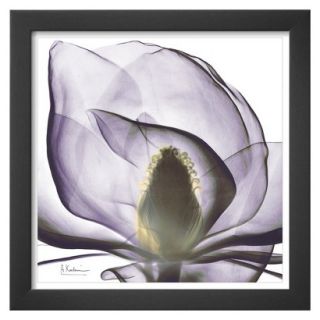 Art   Precious Orchid Framed Print