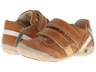 Beeko Gillispie Boys Shoes (Brown)