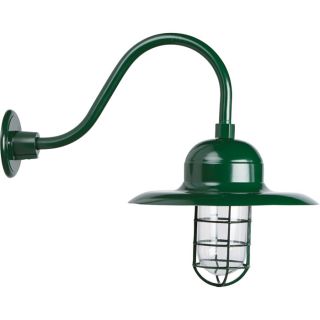 NPower Barn Light with Wall/Ceiling Sconce   13 Inch Diameter, Forest Green