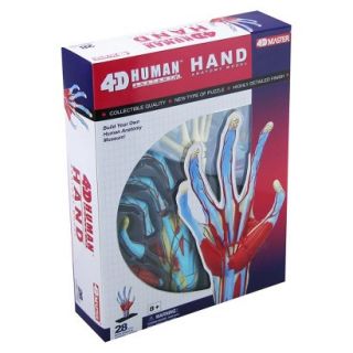 John N. Hansen 4D Vision Human Hand Anatomy Model