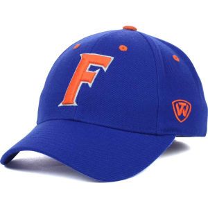 Florida Gators Top of the World NCAA Memory Fit Dynasty Fitted Hat