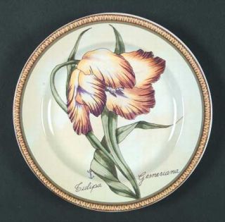 American Atelier Botanical Salad/Dessert Plate, Fine China Dinnerware   Green Ba