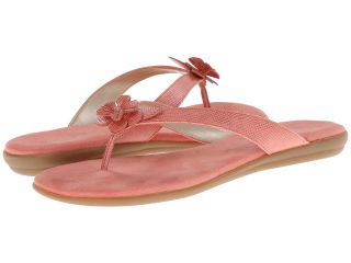 Aerosoles Branchlet Womens Sandals (Pink)