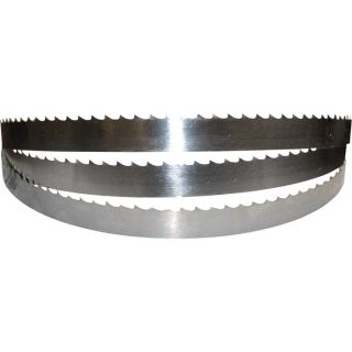 Rikon Stainless Steel Meat Saw Blade   77 1/2 Inch x 5/8 Inch, Model 19 7701