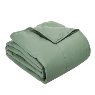 Cottonloft Cottonloft All Natural Down Alternative Cotton filled Blanket Green Size Twin