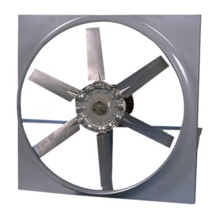 Canarm Direct Drive Wall Fan   16 Inch, 3300 CFM, Model ADD16T10050B