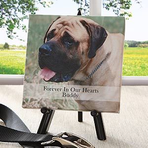 Personalized Pet Photo Canvas Art   Forever In Our Hearts