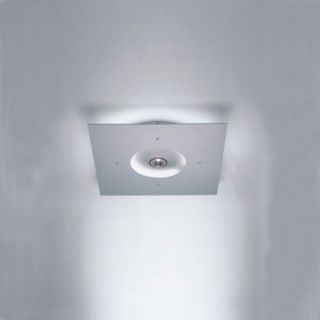 Ixion Ceiling Light with Halogen Down Light