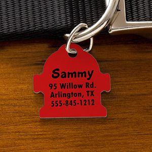 Engraved Dog Identification Tags   Fire Hydrant
