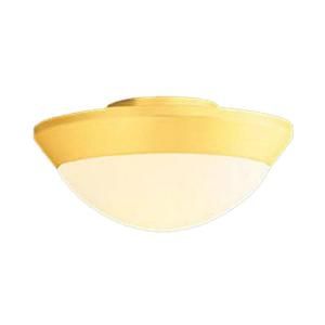 Casablanca Dual Light Oil Rubbed Bronze Center Stem Fixture Ceiling Fan Light Kit with Glass KG1KA 73