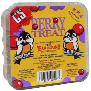C & S Products Berry Treat 0.7 lb. Wild Bird Suet CS12527
