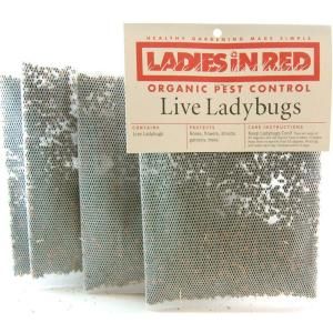 LADIES IN RED 1 qt. Ready to Use Live Ladybugs 123