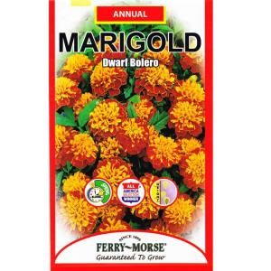 Ferry Morse 240 mg Dwarf Marigold Bolero Bi color Seed 1082