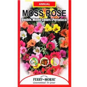Ferry Morse Moss Rose Double Mixed Colors Portulaca Seed 1095