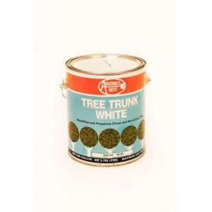 Arizonas Best 1 gal. Tree Trunk Paint AZP30012