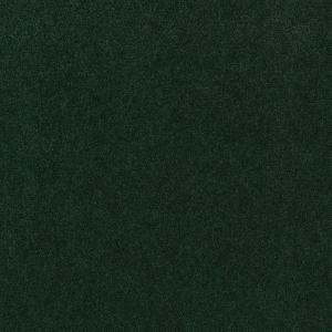 TrafficMASTER Core Competency   Color Emerald Isle 12 ft. Carpet 0198D 38 12