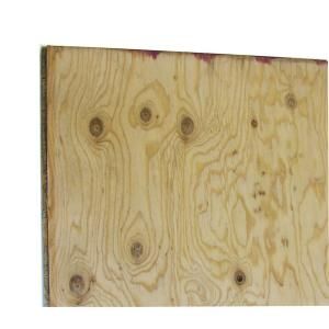 5/8 in. x 4 ft. x 8 ft. Hi Bor Tongue & Groove Underlayment Pressure Treated Plywood 656835