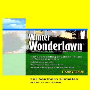 Barenbrug 25 lb. Winter Wonderlawn Grass Seed 23065
