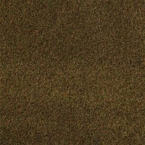 TrafficMASTER Toulon   Color Spices 12 ft. Carpet HDB6363611