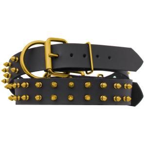 Platinum Pets 29 in. Black Genuine Leather Dog Collar in Gold Spikes LC29INGLDSPK