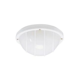 Hunter Outdoor White Ceiling Fan Light Kit 28318