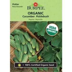 Burpee Cucumber, Picklebush Org 67464