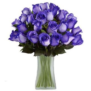 The Ultimate Bouquet Gorgeous Deep Purple Tinted Rose Bouquet in a Clear Vase (24 Stem), Overnight Shipping Included MD329