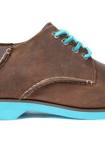 Sperry Topsider Shoe Oxford Neon in Brown and Blue