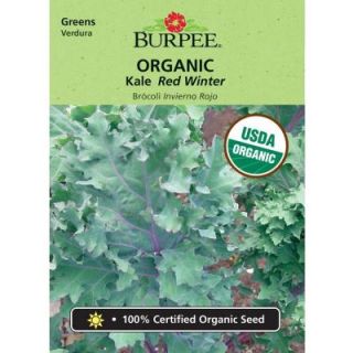 Burpee Kale, Red Winter Org 67348
