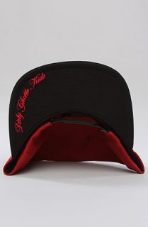 DGK The Underdogs Snapback in Red Black