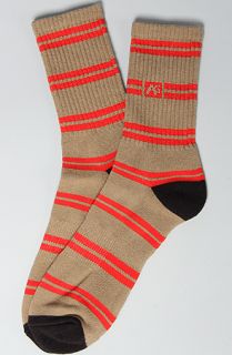 Analog Socks No Name Striped in Brown