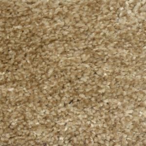 Truly Soft I   Color Grain 12 ft. Carpet HD051 08