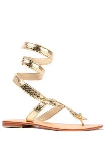 Cocobelle Sandal Snake Ankle Wrap in Gold