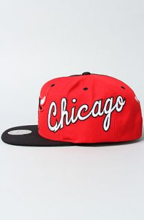 Mitchell & Ness The Chicago Bulls Split Snapback