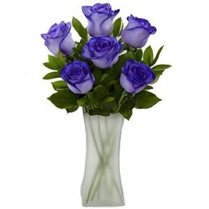 The Ultimate Bouquet Gorgeous Deep Purple Tinted Rose Bouquet in a Frosted Vase (6 Stem), Overnight Shipping Included MD327