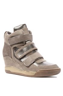 Ash Shoes Sneaker Alex Bis in Stone and Biombo