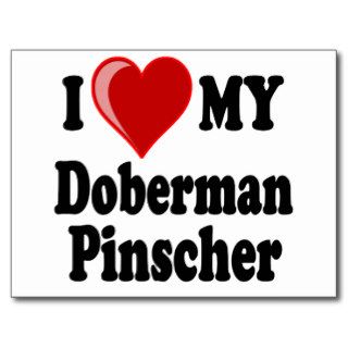 I Love (Heart) My Doberman Pinscher Dog Post Card