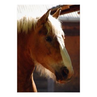 Horse viewed from profile807 BROWN HORSE WHITE MAN Personalized Announcement