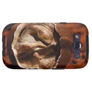 Dinosaur egg with embryo galaxy SIII cover