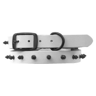 Platinum Pets White Genuine Leather Dog Collar with Spikes   Black (11   15)