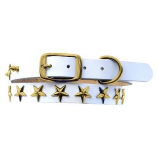 Platinum Pets White Genuine Leather Dog Collar with Stars   Gold (17 20)
