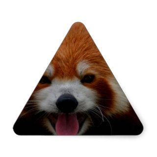 Cute Red Panda Triangle Sticker
