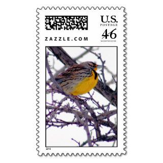 Western Meadowlark Stamp