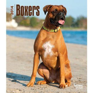 Boxers 2014 Hardcover Engagement Calendar  Office Calendars Planners And Accessories 